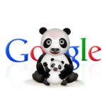 Google Panda Update: nuovo aggiornamento che influenza la ricerca ma di poco