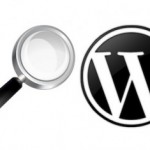 Cos’è il “Codex” di WordPress?